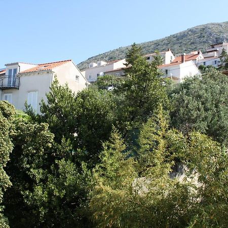 Studio Tamara Dubrovnik Luaran gambar